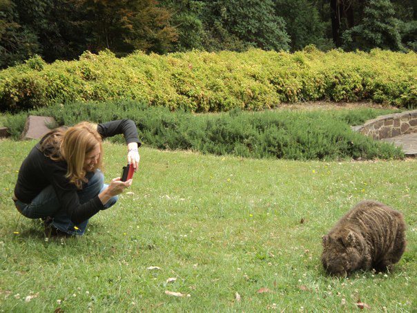 rhododendron gardens