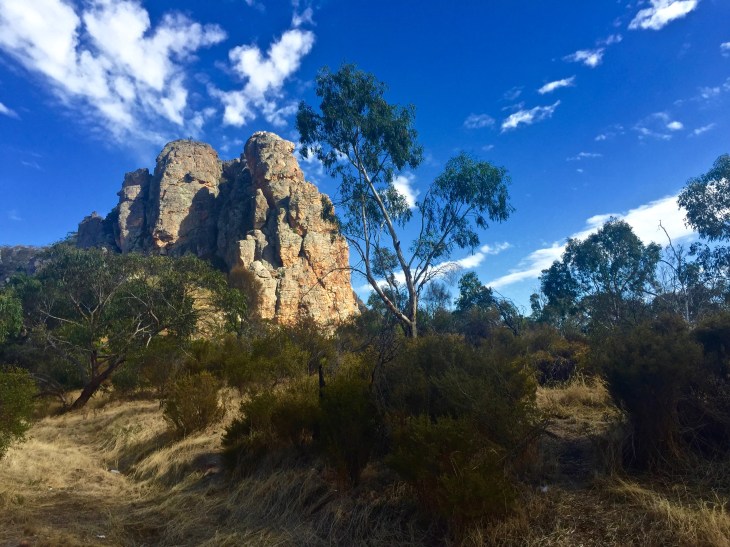 arapiles wild - 1